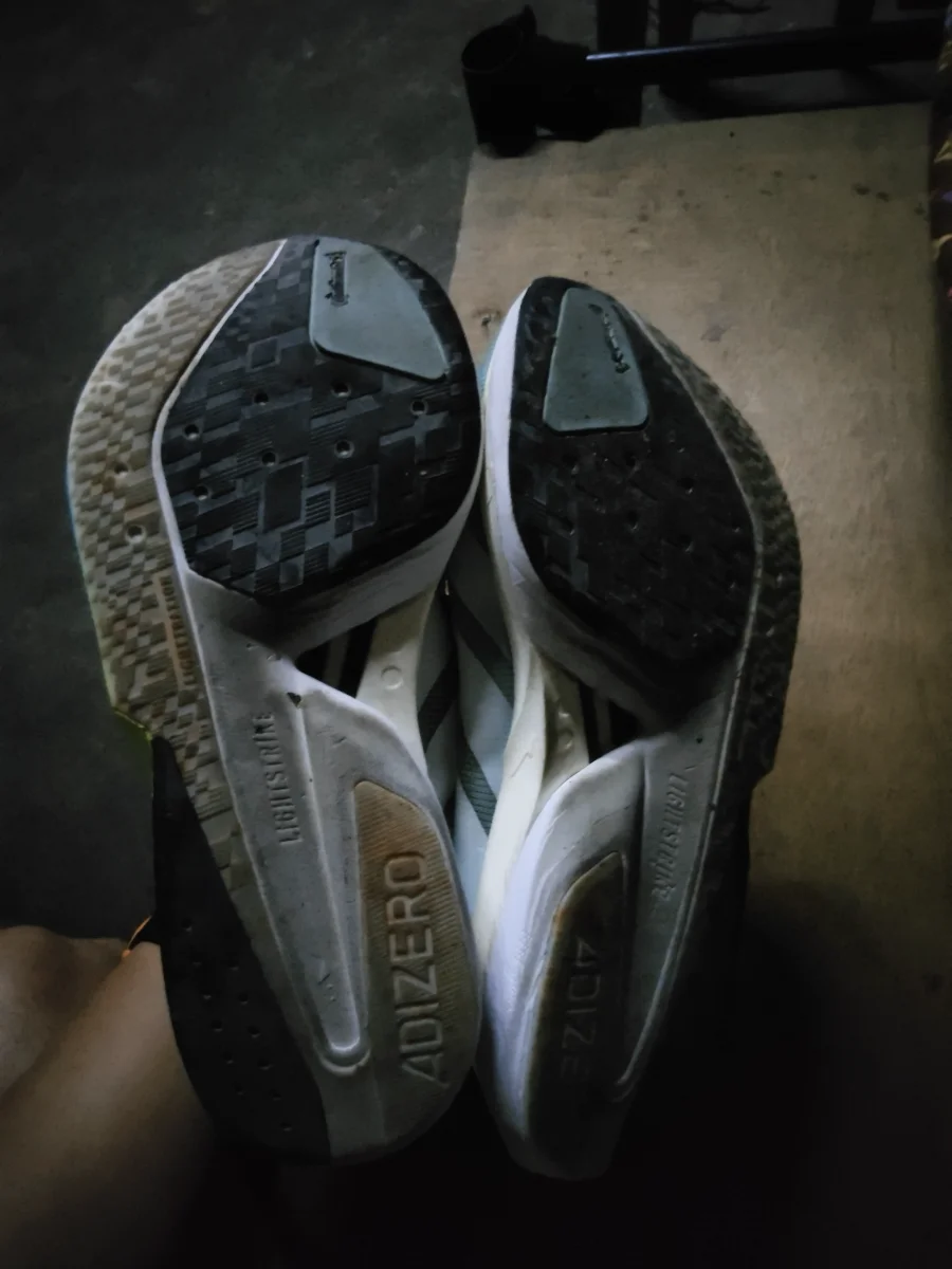 sole