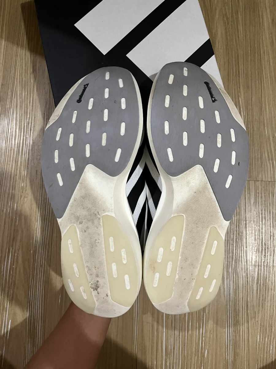 sole