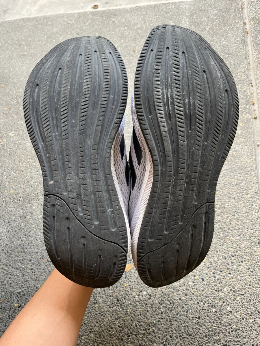 sole