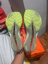 sole