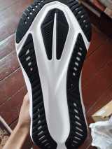 sole