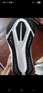 sole