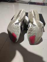sole