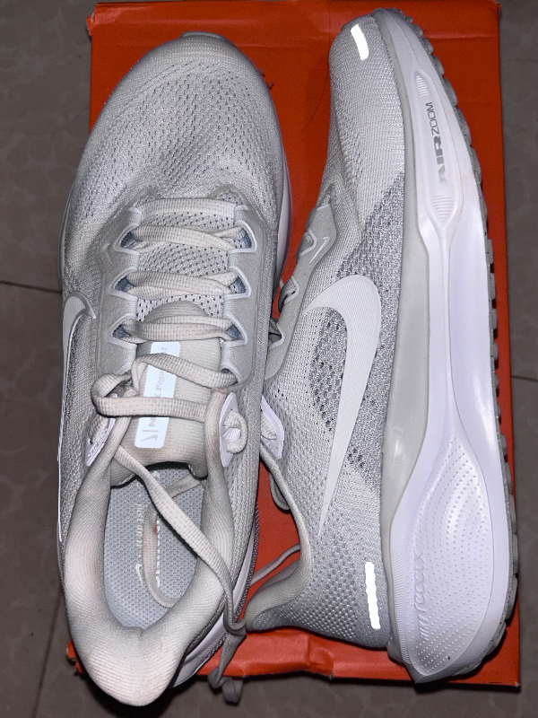 Nike Pegasus 41 top photo