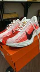 Nike Pegasus Plus left photo