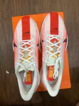 Nike Pegasus Plus