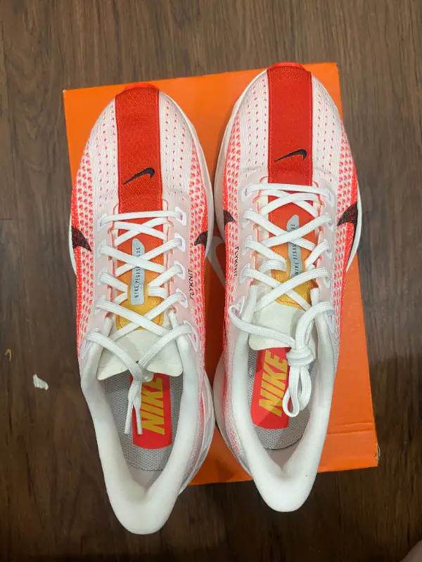 Nike Pegasus Plus top photo