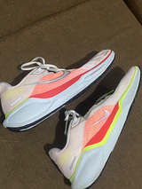 Nike pegasus 41