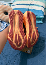 sole